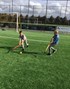 hockey sept 19